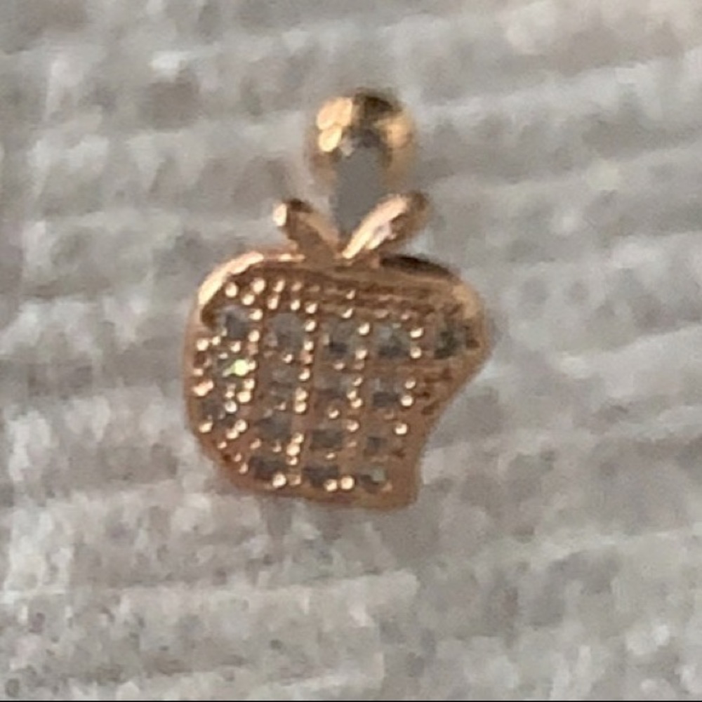 Apple Tragus